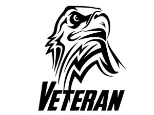 Calcomanía de vinilo Veteran Eagle Patriot pegatina para coche camión de pared elige el color de la talla - Imagen 1 de 2