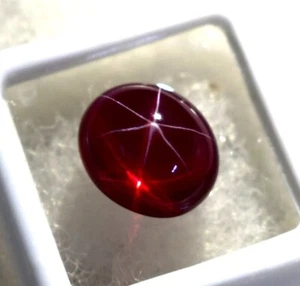 8-10 Ct 6 Rays Natural Red Star Ruby Oval Cabochon Certified Loose Gemstone - Picture 1 of 4