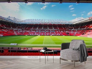 3D Manchester United Football Self-adhesive Removeable Wallpaper Wall Mural 27 - Picture 1 of 11