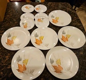 12 Vintage Boonton Ware Melamine Shadow Leaf Pattern, 6 Dinner Plates, 6 Saucers - Picture 1 of 8