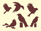 Stencils Joanie Songbirds Meadowlark Cardinal Blue Jay Chickadee DIY Art Signs