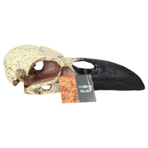 ProRep Resin Corvid Skull 15,5 x 6,5 x 5,5 cm - Bild 1 von 3