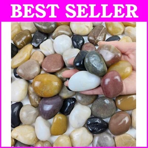 20 lbs Natural Decorative Pebbles for Stunning Outdoor Gardens & Aquariums - Picture 1 of 11