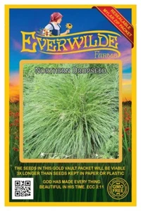 400 Northern Dropseed Native Grass Seeds - Everwilde Farms Mylar Seed Packet - Picture 1 of 3