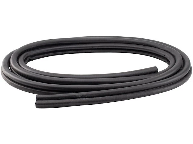 DIY Solutions 39HT16P Front Right Door Seal Fits 1987-1996 Dodge Dakota Foto 1 de 1