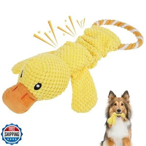 KOOLTAIL Ente Hundespielzeug, robustes Plüschhund Kau- und Quietschspielzeug mit Knisterpa - Bild 1 von 5