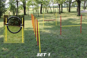 AGILITY-COMBI! JUEGO PRINCIPIANTE / 2 OBSTÁCULOS / 1 SLALOM / 1 ANILLO - ORIGINAL WUZZMANN - Imagen 1 de 1