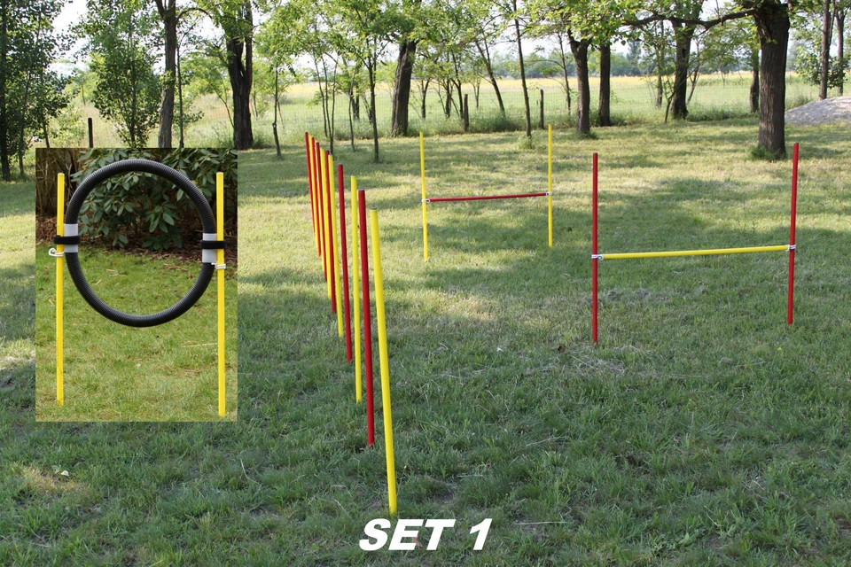 AGILITY-COMBI! JUEGO PRINCIPIANTE / 2 OBSTÁCULOS / 1 SLALOM / 1 ANILLO - ORIGINAL WUZZMANN - Imagen 1 de 1