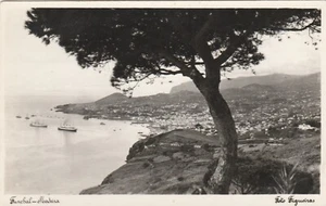 FUNCHAL, MADEIRA, Portugal - POSTAL VINTAGE - Imagen 1 de 2