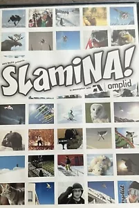 Freestyle Skiing DVD STAMINA ! - Mountain Ski VERY RARE OOP - Only 1 Available - Picture 1 of 2