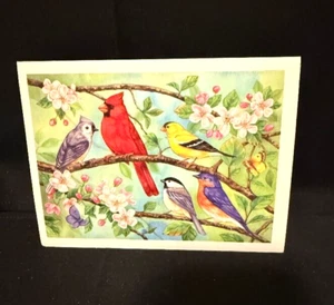 Unused 5 Bird Blank Card #3279 - Picture 1 of 4