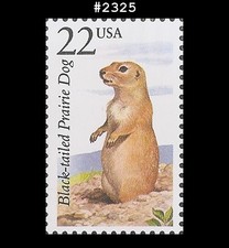 U #2325 Mnh Black-tailed Prairie Dog
