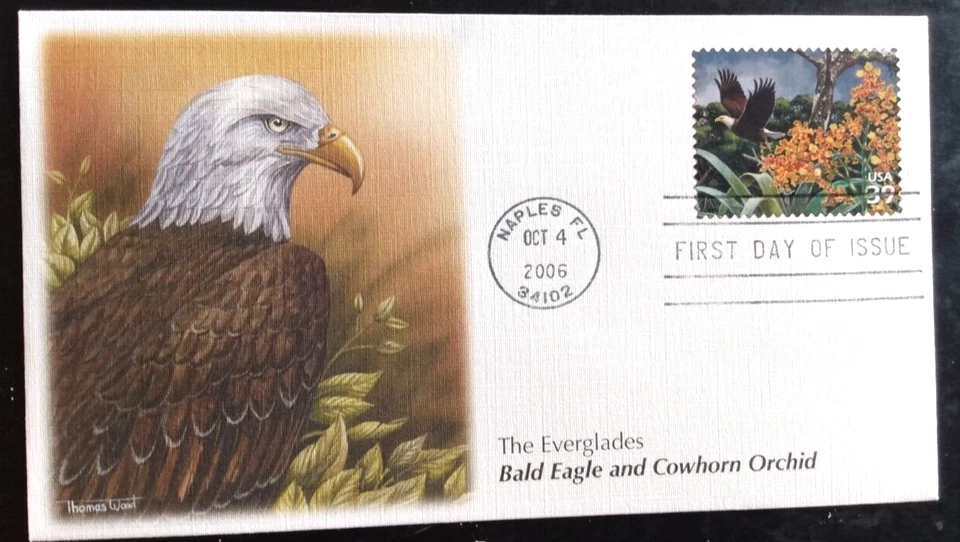 Bald Eagle The Everglades 2006 Fleetwood Cachet FDC sin dirección en muy buen estado Foto 1 de 1