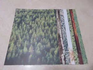Carta 8,5""x11"" PARK LANE - STAMPE NATURALI ASSORTITE #2 - 7 FOGLI - Foto 1 di 8