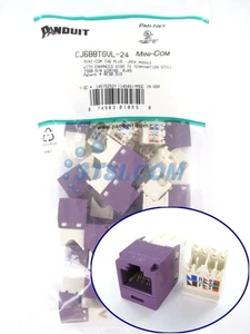 (paquete de 24) Módulo de conector minicom Panduit CJ688TGVL-24 Cat6, violeta GENIUNE ~STSI - Imagen 1 de 4