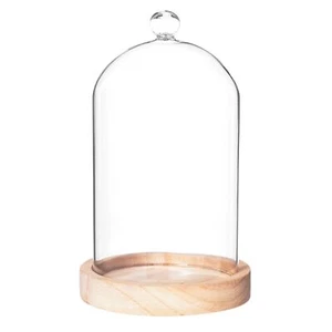 Glaskuppel mit Holzbasis, ? 11 cm - Bild 1 von 2