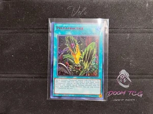 Yugioh Predapractice LDS3-EN079 1st Ed UR 🔴 “Predaplant Archetype” - Picture 1 of 1