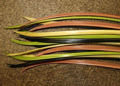 TIRAS BIOT DE PAVO PLUMAS Nature's Spirit Material para atar moscas 4 Biots por paquete Foto 1 de 2