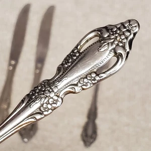 Oneida RAPHAEL Distinction Deluxe HH (2) forchette insalata coltelli posate argenteria - Foto 1 di 6