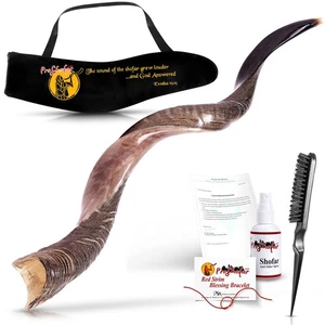 Juego de Shofar Kosher Kudu Medio Pulido de Israel, Plus Bolso, Firmado Oficialmente - Imagen 1 de 7