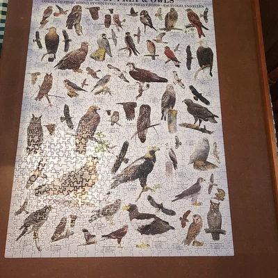 Euro Graphics Birds of Prey Owls Puzzle 1000 Piece USA 2015 Complete with Box - Image 1 of 4