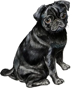 Black Pug Dog Pup Decal Sticker for Car/Truck Laptop or Phone - Picture 1 of 1