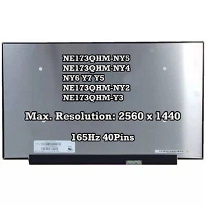 Panel NE173QHM-NY5 NE173QHM-NY4 NY6 Y7 Y5 NE173QHM-NY2 NE173QHM-Y3 QHD 2560×1440 - Imagen 1 de 2
