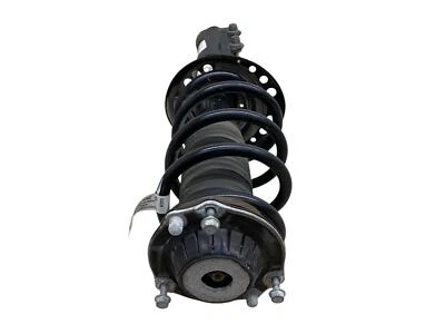 2019-2023 GMC ACADIA FRONT RIGHT PASS STRUT SHOCK W/O CONTINUOUS VALVE DAMPING Foto 1 de 4