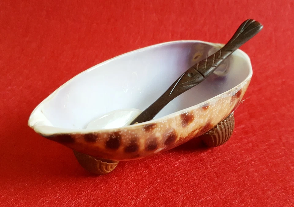 套装鲍鱼壳碗托盘拖把勺子木柄供应晚宴复古 — 第 1/4 张图片