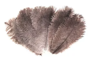 Plumas de avestruz gris natural 8-10 pulgadas tamaño por SEIS (6) - Imagen 1 de 1