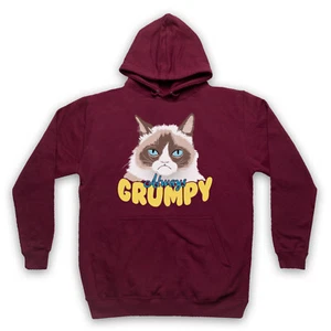 GRUMPY KATZE IMMER GRUMPY LUSTIG SÜSS COOL BERÜHMTE KOMÖDIE UNISEX ERWACHSENE KAPUZENPULLOVER - Bild 1 von 11