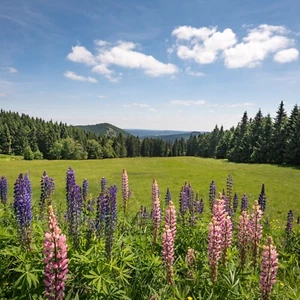 Wellness Masserberg/Thüringen 3-6 Tage @3* Werrapark Hotel Frankenblick + HP uvm - Bild 1 von 20