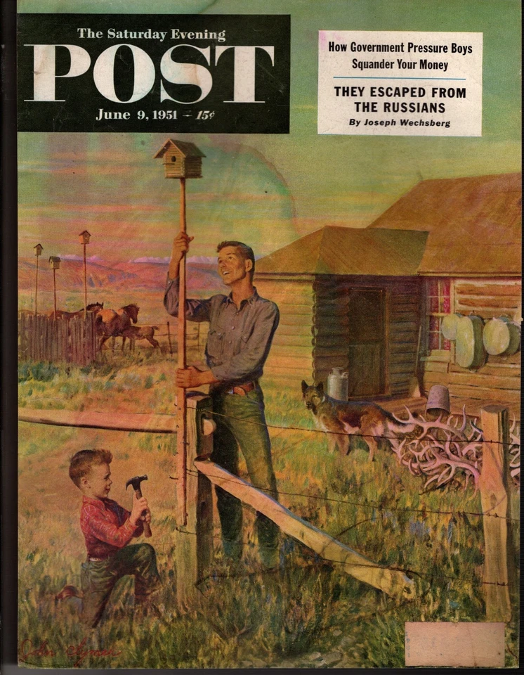 1951 Saturday Evening Post June 9 - Building an Oregon birdhouse original cover Foto 1 de 1