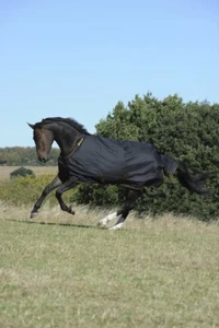 Outdoordecke Weidedecke 50g Irish Turnout Light Bucas schwarz gold 115-165 cm - Bild 1 von 4