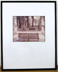 Kenario Photography Framed Fine Art Photo of Park - Picture 1 of 4