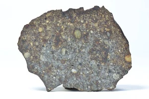 Meteorite NWA 5923 - Chondrite L3 - found 2004 in NW Africa - end cut - 52.4 g - Picture 1 of 11