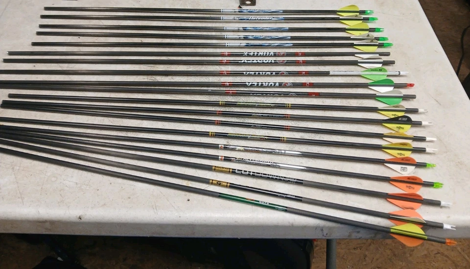 LOT OF 19 CARBON ARROWS - Image 1 of 4