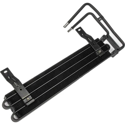 Enfriador de aceite 918-251 Dorman para Jeep Cherokee 1990-2001 Foto 1 de 2