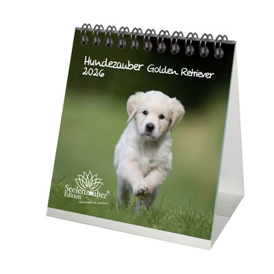 SEELENZAUBER GMBH Hundezauber Golden Retriever Tischkalender 10cm x 10cm für 2026 Welpen und Hunde
