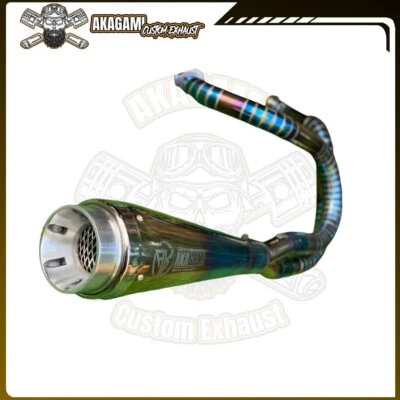 Silenciador de escape personalizado apto para Harley Davidson Sportster 883/1200 2 en 1 Foto 1 de 4