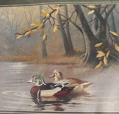 Kit de punto de cruz Simplicity Duck Pond 05002 marco alfombrilla EE. UU. Lex Gonzalez Adp. Foto 1 de 4