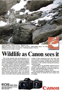 VINTAGE 1986 CANON EOS 620 650 KAMERA FOTOGRAFIE SCHNEELEOPARD DRUCK AD - Bild 1 von 1