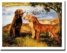 Cheasapeake Bay Retriever Trio Notecards 6 Note Cards 6 Envelopes Ruth Maystead