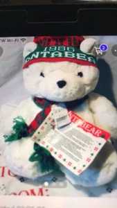 Dayton Hudson’s Original 1986 Santa Bear With Tags - Bild 1 von 1