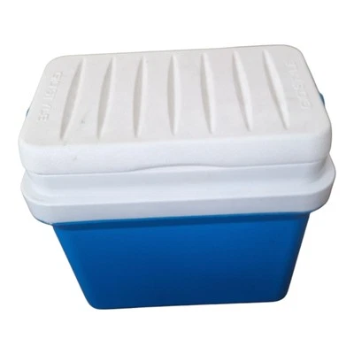 Vintage GIOSTYLE Kühlbox Retro Wohnmobil Camping Eis Picknick Urlaub Kühlbox blau - Bild 1 von 4