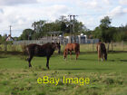 Photo 6X4 Horses, Bockhampton Lambourn The Site Of A Medieval Village. Ah C2006