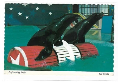 Postal de colección - SELLO DE ACTUACIÓN DEL MUNDO MARINO 4 X 6" Foto 1 de 2