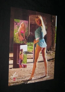Póster de bikini original 1985 Toronto Sunshine Girl Lorrie Miss no es una reimpresión - Imagen 1 de 1