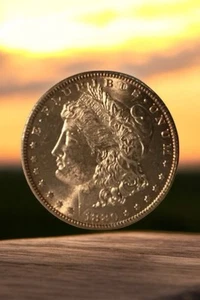 1880-S Morgan Silver Dollar Gem Brilliant Uncirculated Mint State Proof-Like - Picture 1 of 2