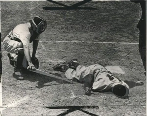 1950 Press Photo Tiger's Aaron Robinson reaches out for downed Larry Doby - Picture 1 of 2